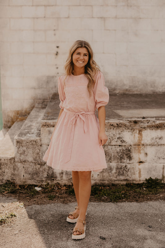 ELLA EMBROIDERED MINI DRESS